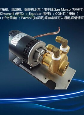 OON铜水泵头 乐机碳酸饮料机水泵 稳压泵 乐机铜泵头