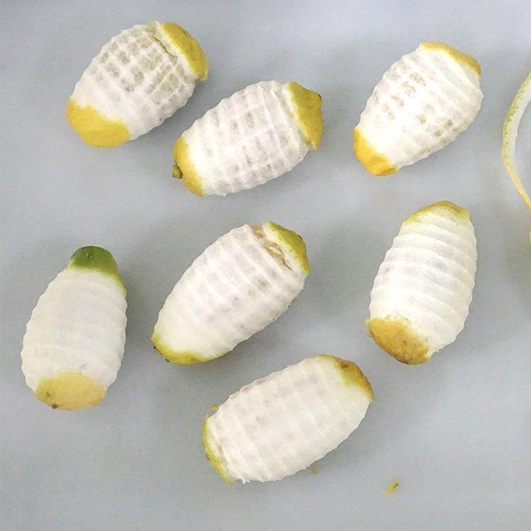 工厂直营柠檬削皮机球茎类蔬果去皮机,淘宝优惠券,粉丝福利购,淘宝优惠卷