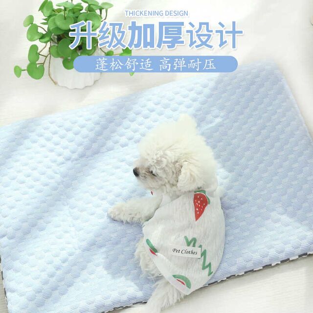 Pet mats, Doudou granules, soothing mats, cat sofa mats, dog mattresses, universal pet daily necessities for all seasons