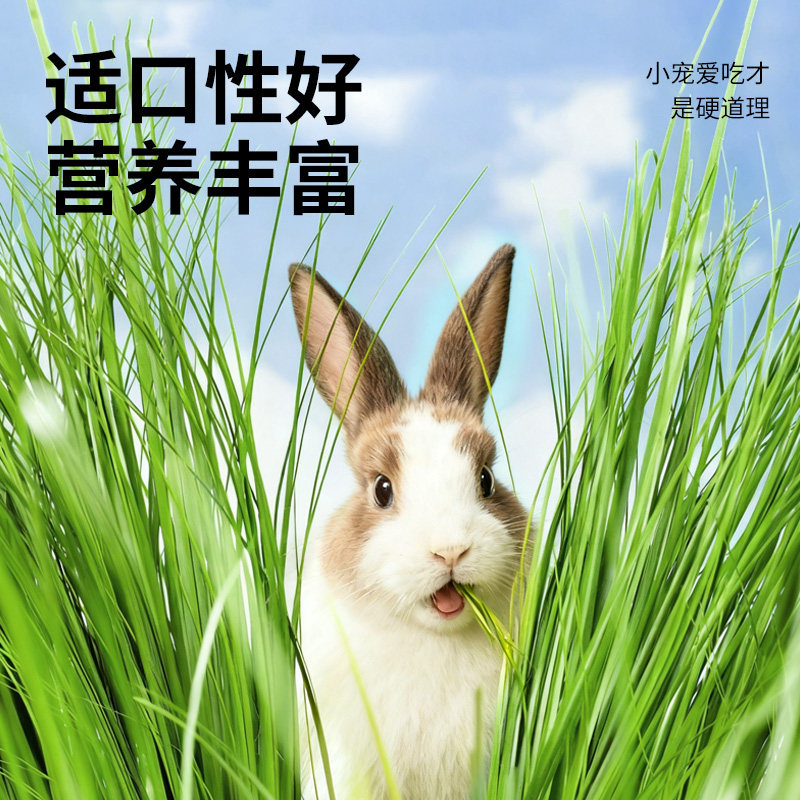 岷山源高原全叶烘干提摩西草段干草龙猫粮食豚鼠兔粮兔子饲料牧草,淘宝优惠券,粉丝福利购,淘宝优惠卷