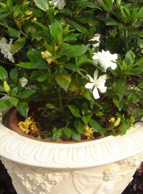 欧式田园客厅阳台入户花园工艺摆设乐器天使浮雕花盆门厅摆件花器