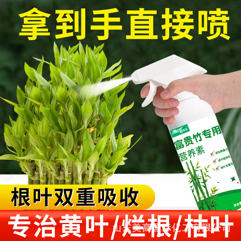 发财树专用营养液肥花卉水培植物绿萝富贵文竹室内盆栽肥料活力素,淘宝优惠券,粉丝福利购,淘宝优惠卷