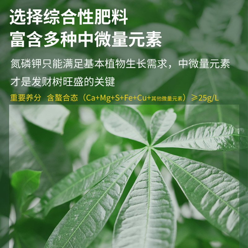 发财树专用营养液肥花卉水培植物绿萝富贵文竹室内盆栽肥料活力素,淘宝优惠券,粉丝福利购,淘宝优惠卷