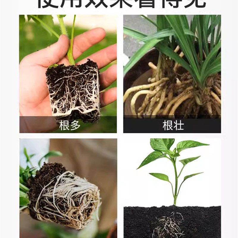 八个老头生根剂家庭园艺花卉果蔬植物快速生根液补充养分养根壮根,淘宝优惠券,粉丝福利购,淘宝优惠卷