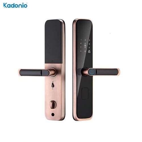 一握即开指纹锁家用入户防盗门锁室内木门涂鸦感应电W子密码智能 - 图1