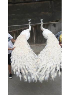 新型模拟白羽孔雀婚纱装饰舞台表演道具标本装饰动物模型