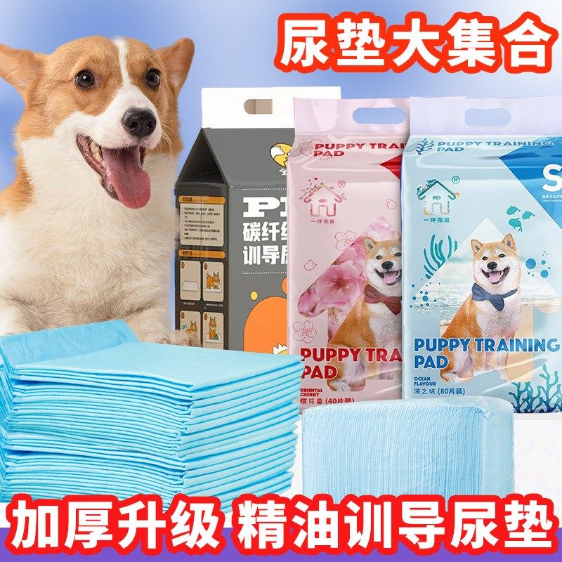 宠物尿垫加厚一次性尿不湿50片100片狗狗猫咪尿垫竹炭祛味吸水垫,淘宝优惠券,粉丝福利购,淘宝优惠卷