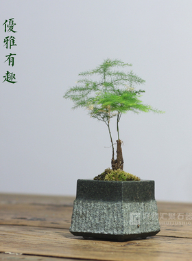 青石盆石头迷你小盆文竹多肉菖蒲绿植石盆器带盘