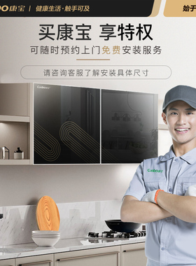 康宝消毒柜幼儿园学校商用家用壁挂台式门高温二星消毒柜碗柜