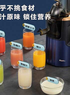 西兰普榨汁汁渣分离原汁家商用炸果汁小型