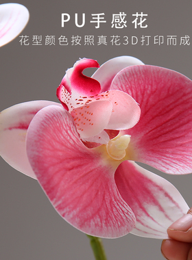蝴蝶兰仿真室内客厅假干枝装饰电视柜餐桌茶几假绿植