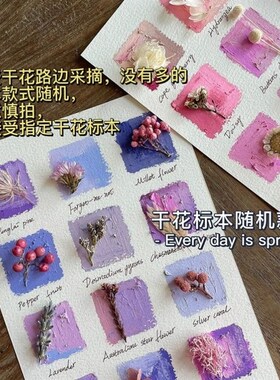 植物标本收集册树叶收集册干燥花相框成品树叶标本相框画框摆件di