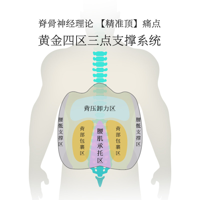 MedChiro金脊健山脊垫 护脊靠垫办公椅靠腰 久坐护腰垫汽车腰靠垫,淘宝优惠券,粉丝福利购,淘宝优惠卷