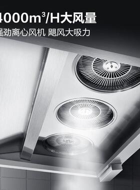 DEMASHI商用油烟净化一体机商用抽油烟机大吸力油烟净化器