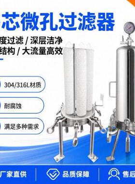 304/316L不锈钢食品医卫生级除菌滤芯精密过滤多芯微孔膜过滤器