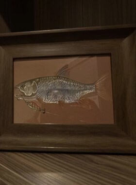 亚鳜鱼画 复古装饰画翘嘴亚翘嘴 马口画办公摆台鳜鱼马口翘嘴