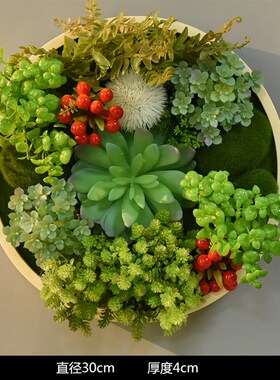 创意墙体装饰圆形仿真绿植框壁挂客厅墙壁挂墙壁饰