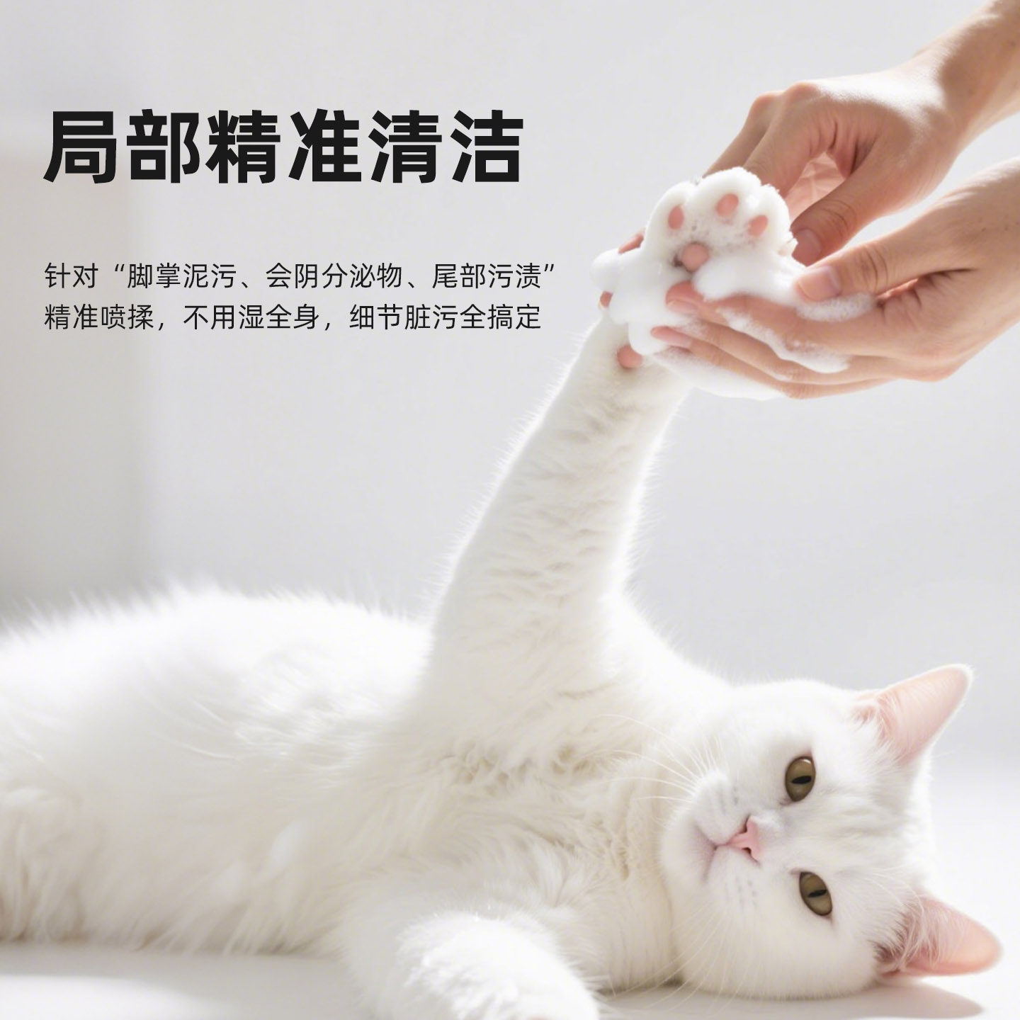 Derbe猫咪免洗泡沫干洗慕斯宠物沐浴露除臭兔用品清洁洗澡沐浴液,淘宝优惠券,粉丝福利购,淘宝优惠卷