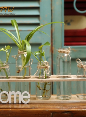 台面小瓶 水培绿萝客厅 木座瓶