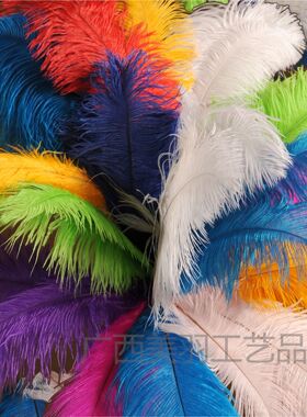 粗杆鸵鸟毛65-70cm厂家婚礼桌花