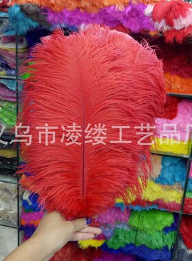 现货供应鸵鸟毛羽毛婚庆装饰舞台