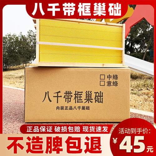 中蜂巢础巢框蜂巢础蜜蜂巢脾意蜂箱八千成品全带框养蜂工具 - 图0