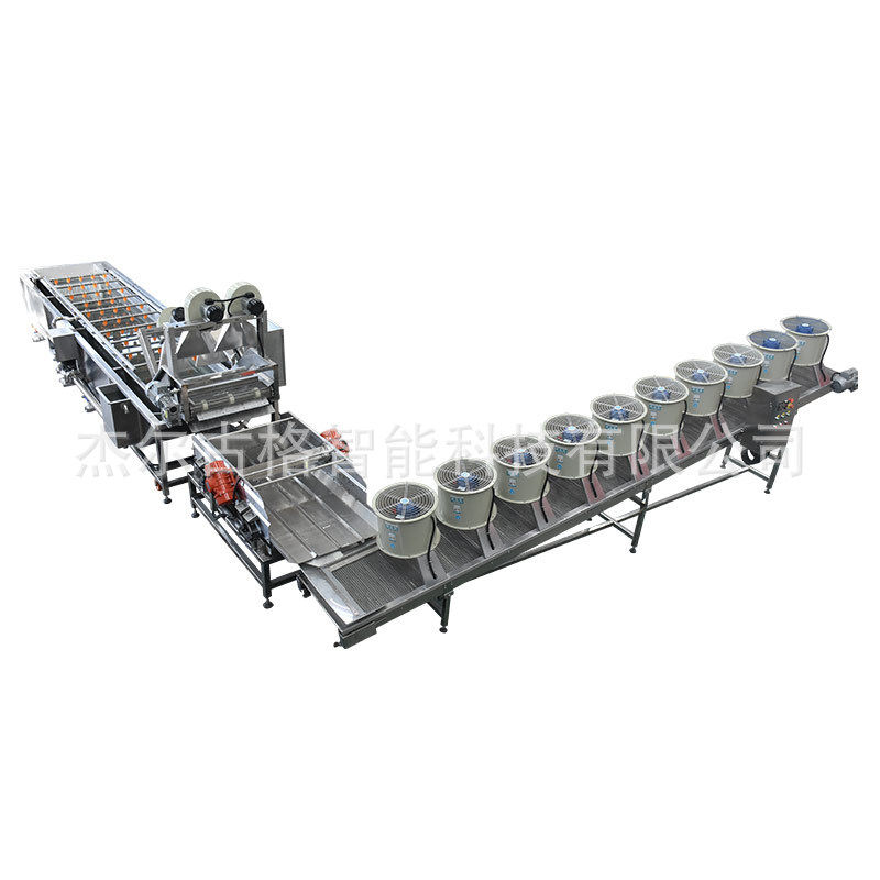 定制萝卜清洗风干切条机械 萝卜干前处理生产线机器 萝卜条机设备,淘宝优惠券,粉丝福利购,淘宝优惠卷