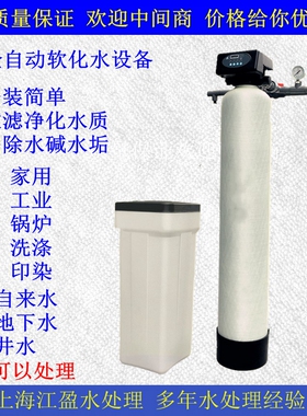 软水全自动软化水设备工业锅炉软水器除水垢润新净水