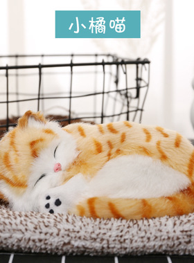 爱猫咪 带活性炭汽车装饰品 家居客厅卧室仿真