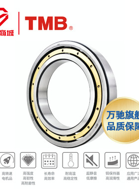 TMB/天马精工16019M高速电机长寿命低噪单列深沟球轴承通用
