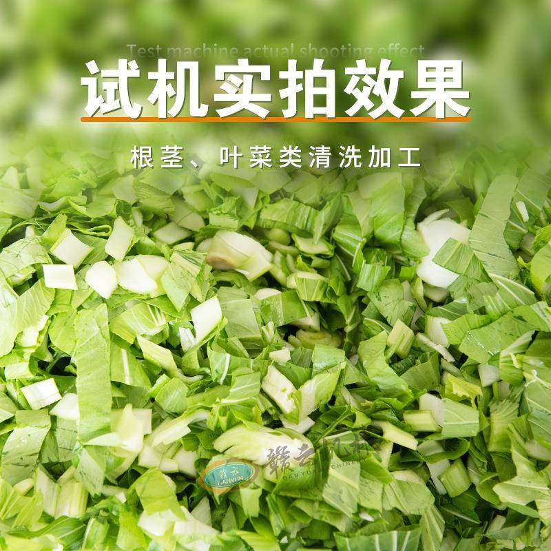 牌翻斗式洗菜机小型气泡清洗机排骨解冻机鸡块清洗机自动出料,淘宝优惠券,粉丝福利购,淘宝优惠卷