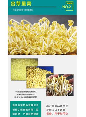 大型斗式豆直芽机 商用自全动豆芽机 619发黄豆绿豆芽机器州厂家