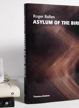 现代简单抽象艺术画册真书装饰品照片道具书柜模型房桌面陈设