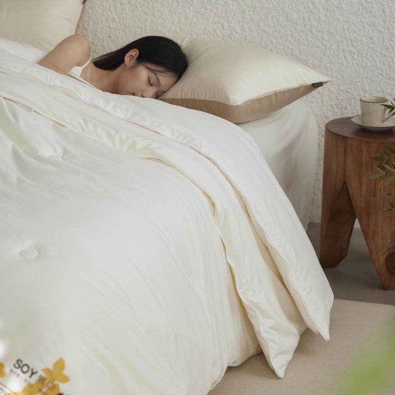 a类提花大豆被拉链款二合一四季子母被学生春秋被冬被子被芯,淘宝优惠券,粉丝福利购,淘宝优惠卷