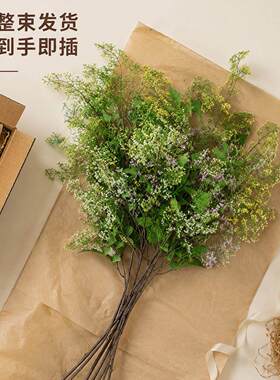 真花假花长支木香 家居装饰客厅摆件插花场景布置DIY花材真花