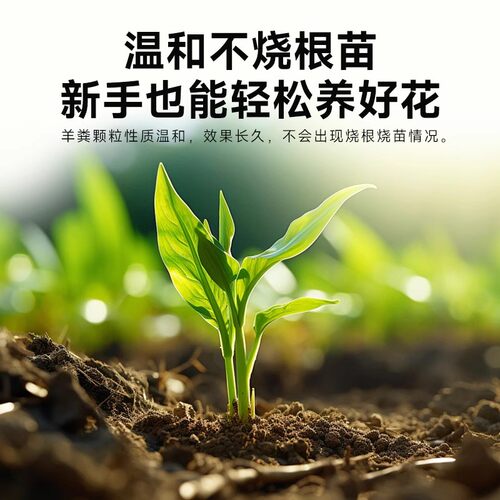 花彩师羊粪发酵有机肥料腐熟鸡粪牛粪颗粒肥蔬菜瓜果种菜花卉专用 - 图3