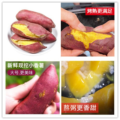 板栗口感大规格小香薯临安新鲜黄心老品种红薯山芋天目烤地瓜熬粥