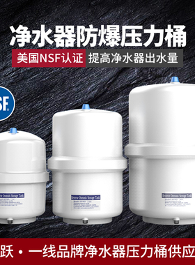 乐天鹅压力桶储水罐通用纯水增压加压净水