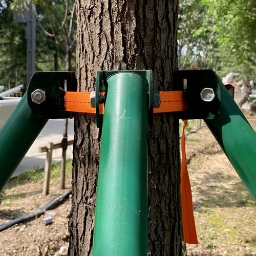 树木支撑架钢管固定器行道大树支撑杆乔木防风园林烤漆镀锌树撑 - 图1