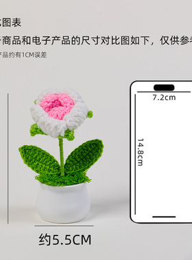 迷你花盆手工编织玫瑰花创意礼品