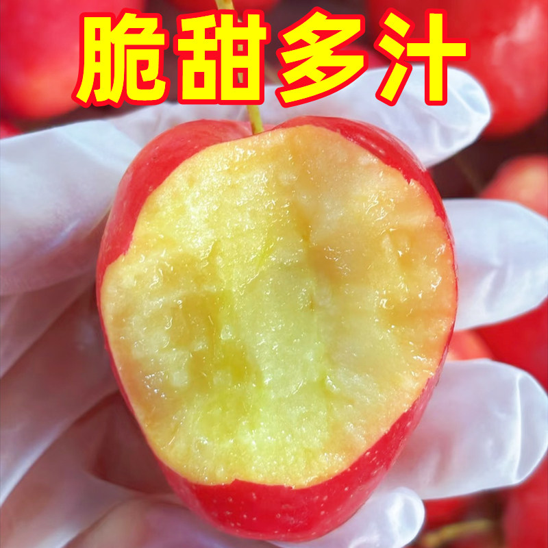图 5