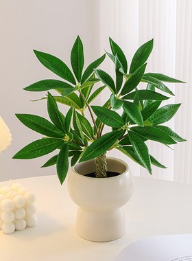 仿真绿植小型客厅室内茶几电视柜仿生假级感