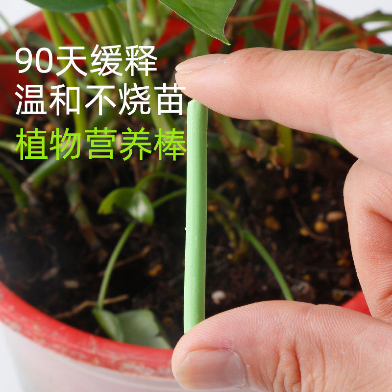 植物营养棒绿植盆栽家用种花养花通用型植物花卉多肉长效缓释营养,淘宝优惠券,粉丝福利购,淘宝优惠卷