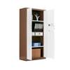 Fingerprint safe, financial file cabinet, office data storage cabinet, safe, electronic password, national security lock