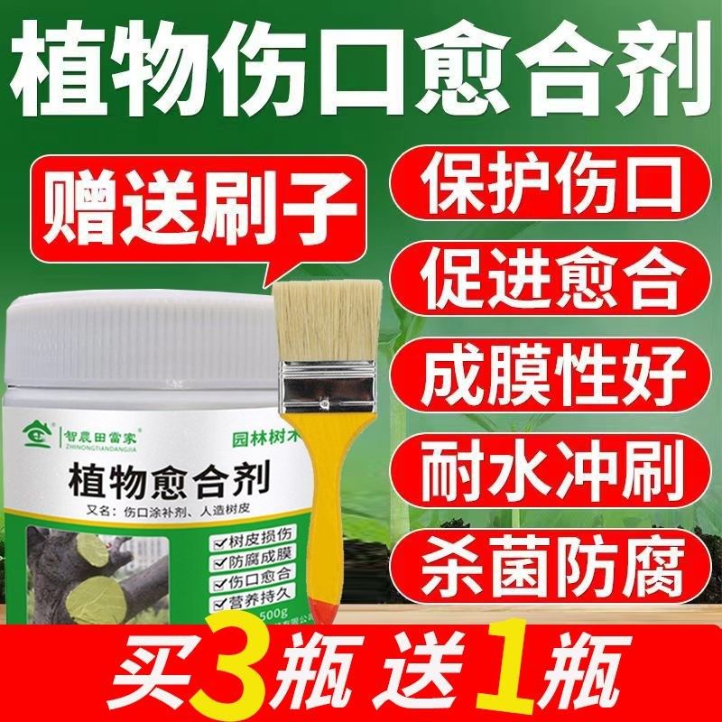 IO伤口愈合剂果树伤口树皮封口修复涂膜树枝嫁接树干大树,淘宝优惠券,粉丝福利购,淘宝优惠卷
