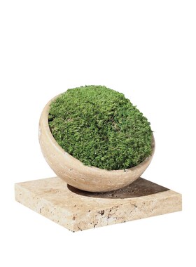 现代仿真绿植苔藓桌面样板间售楼处家居办公室茶几软装