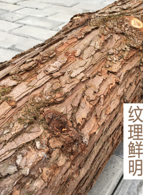 带皮大树干装饰圆木桩杉木头墩客厅民宿屏风酒吧空间立柱