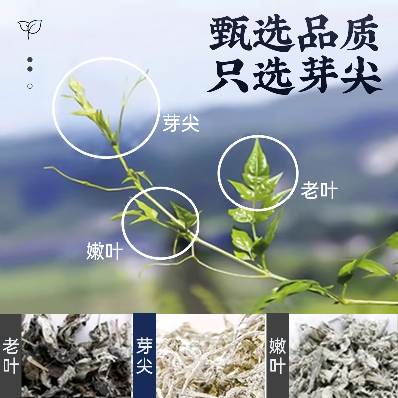 莓茶张家界特级野生芽尖永顺官方旗舰店龙须霉茶正宗土家特级藤茶 - 图2