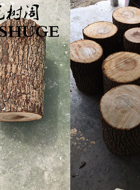 小木桩底座摆件树桩树干原木头杉树摄影拍照园艺木樟W木墩装饰道