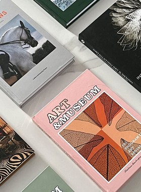 欧式真书柜书籍翻页软售楼处杂志装饰品样板间N书房